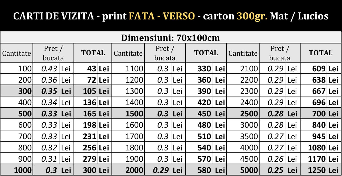 Carti de vizita 70x100cm print fata-verso 300gr