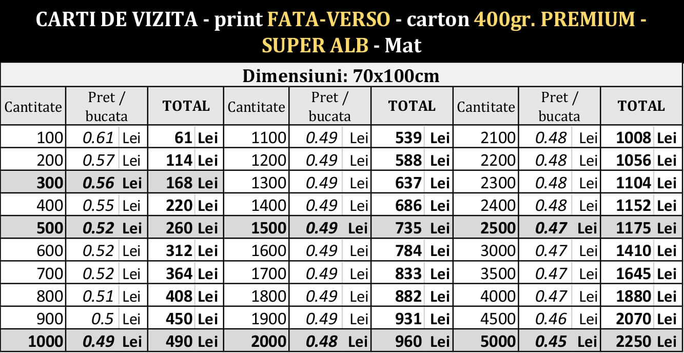 Carti de vizita 70x100cm print fata-verso 400gr