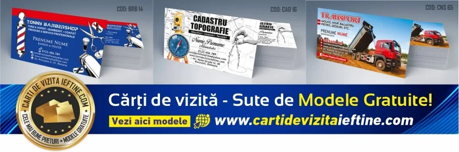 carti de vizita Bistrita – modele de carti de vizita personalizate