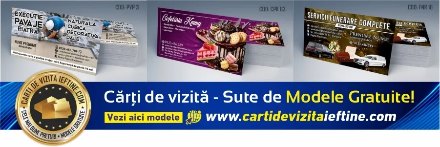 carti de vizita Buzau – modele de carti de vizita personalizate