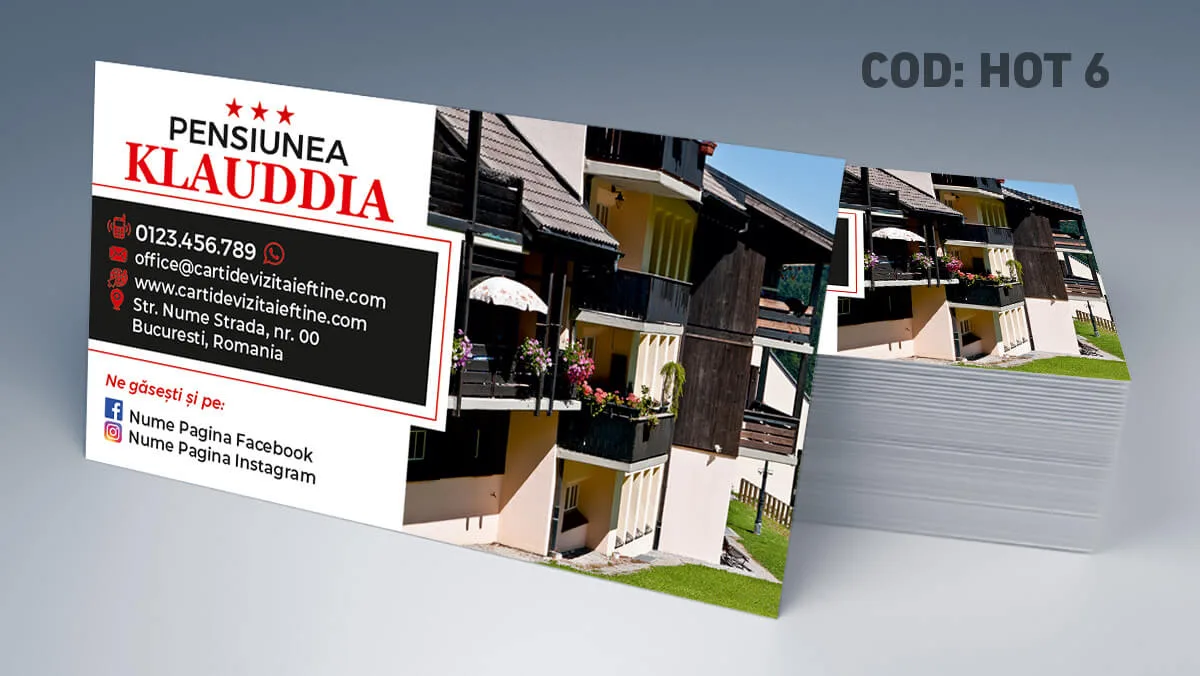 carti de vizita manager hotel model business premium