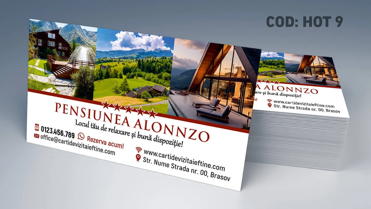 carti de vizita vila turistica model premium pentru rezervari