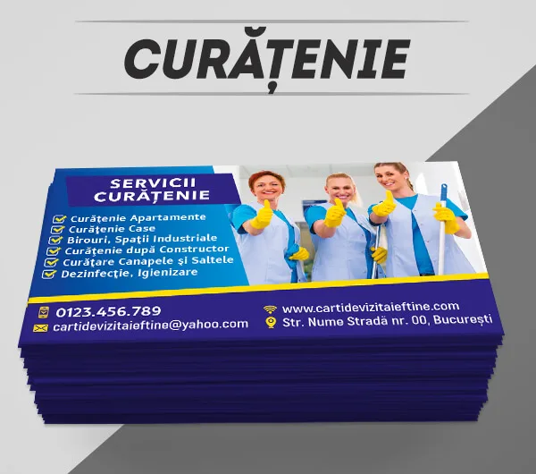 modele carti de vizita curatenie, firma curatenie, domiciliu, dupa constructor